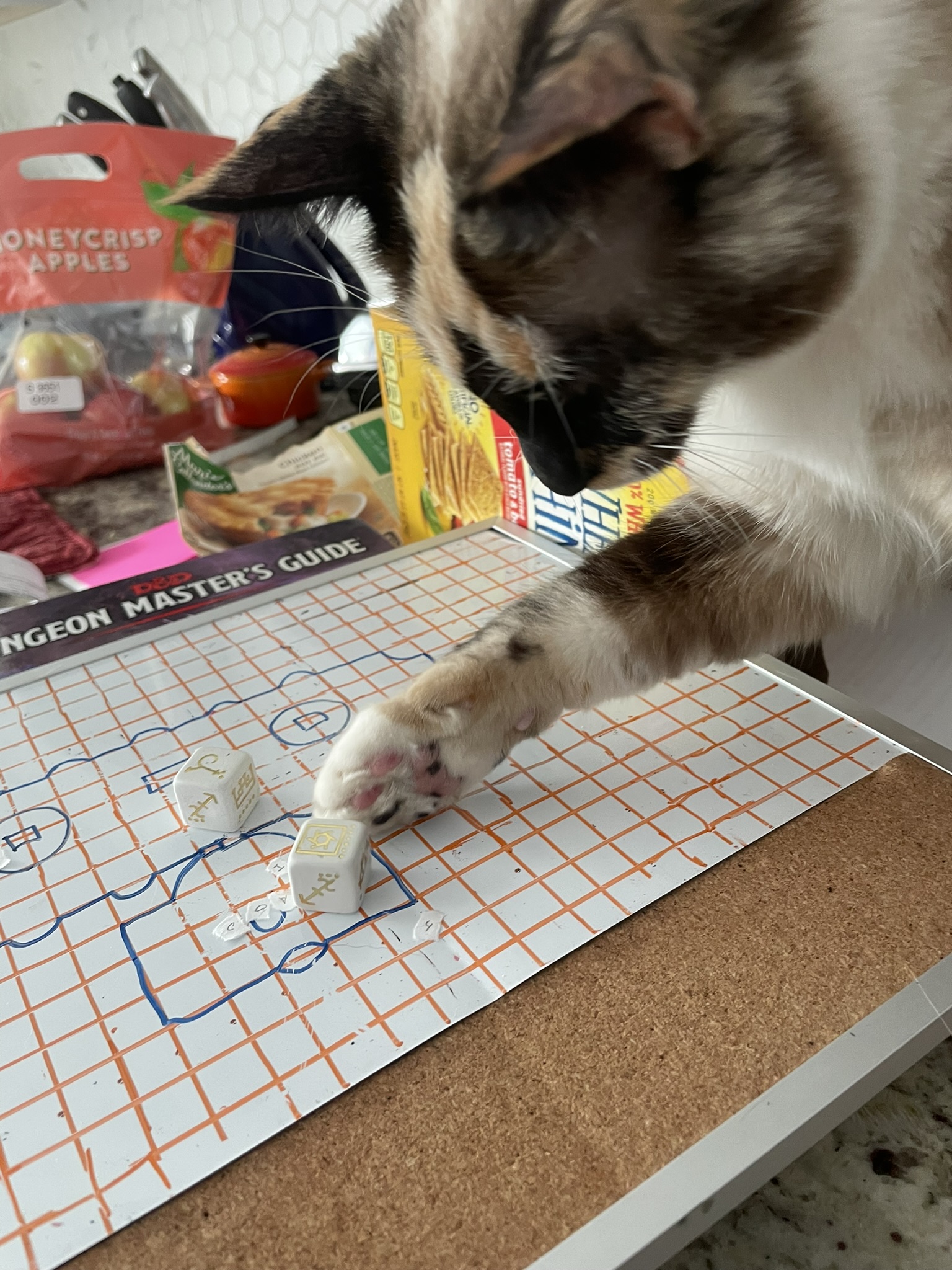 A seal-point calico cat bats at a pair of white six-sided dice. The dice faces show esoteric symbols instead of Arabic numerals.